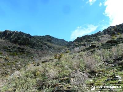 Sierra Alto Rey - Peña Mediodía; rutas senderismo cerca de madrid; rutas trekking madrid;puente se